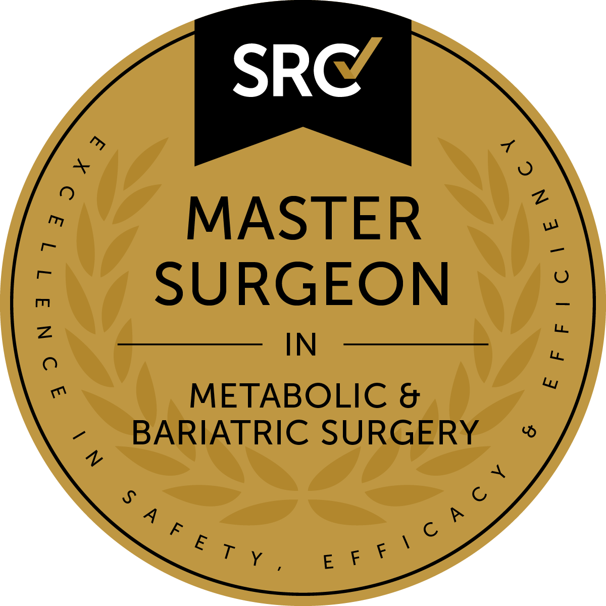 master surgeon bariatric surgery